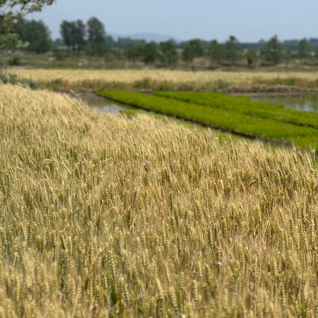 惠达北斗农机导航