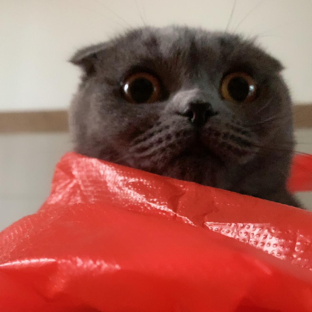 黏