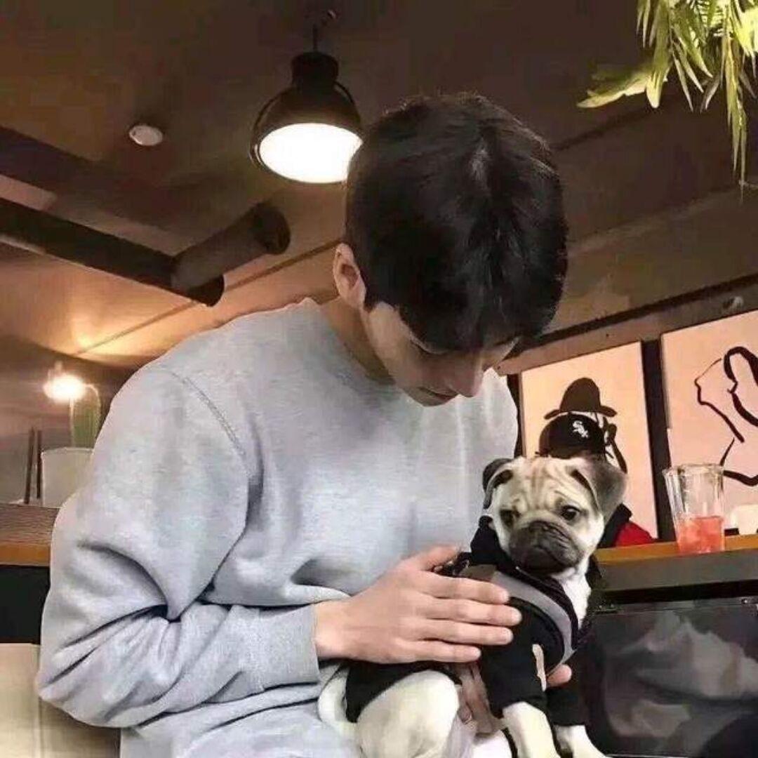 吹口哨的熊