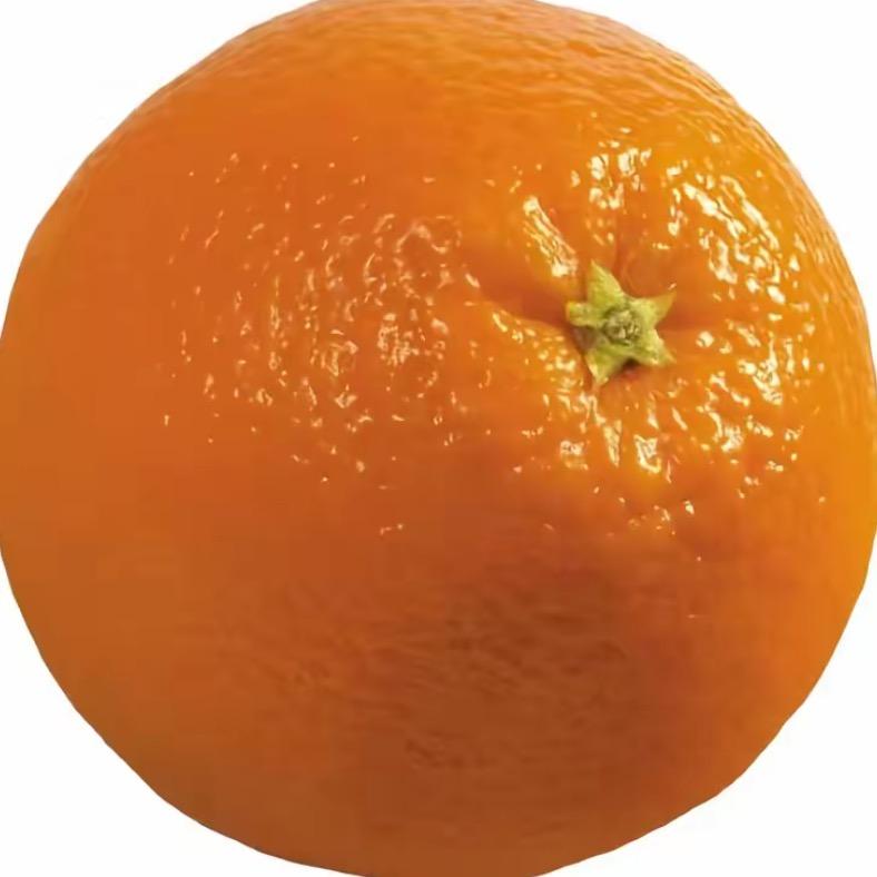 晴天͏