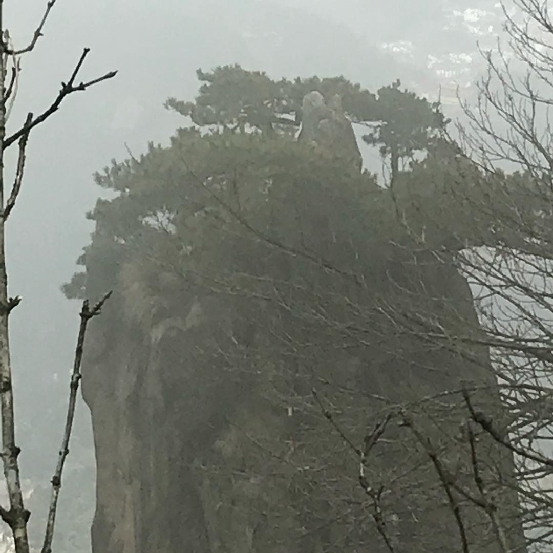 老阿飛