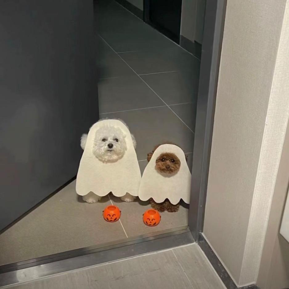 粥稀