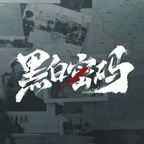 黑白密码(热播版