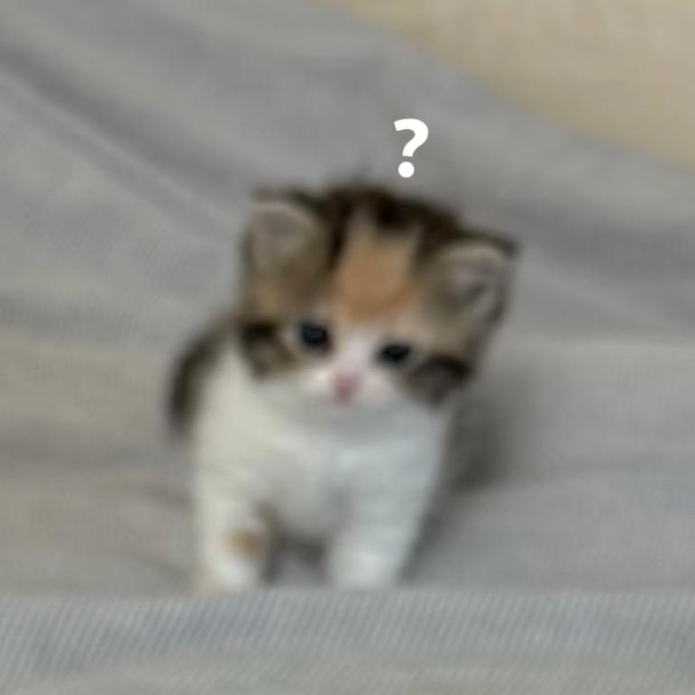 ki