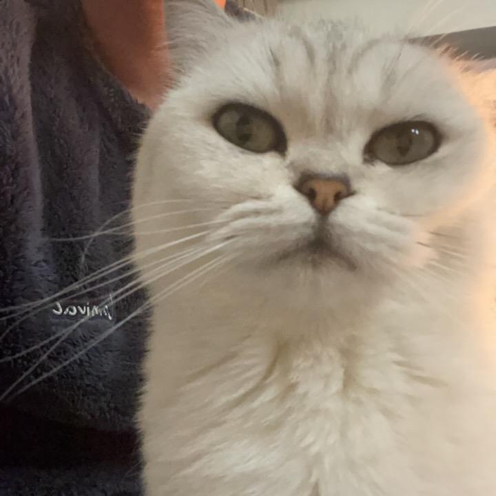 小蝼蚁