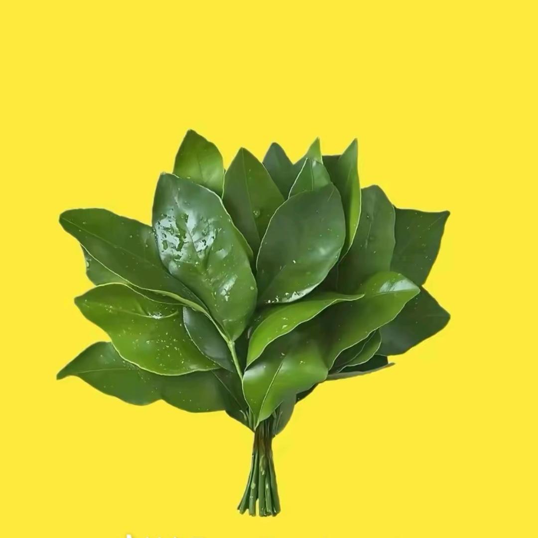惠子.