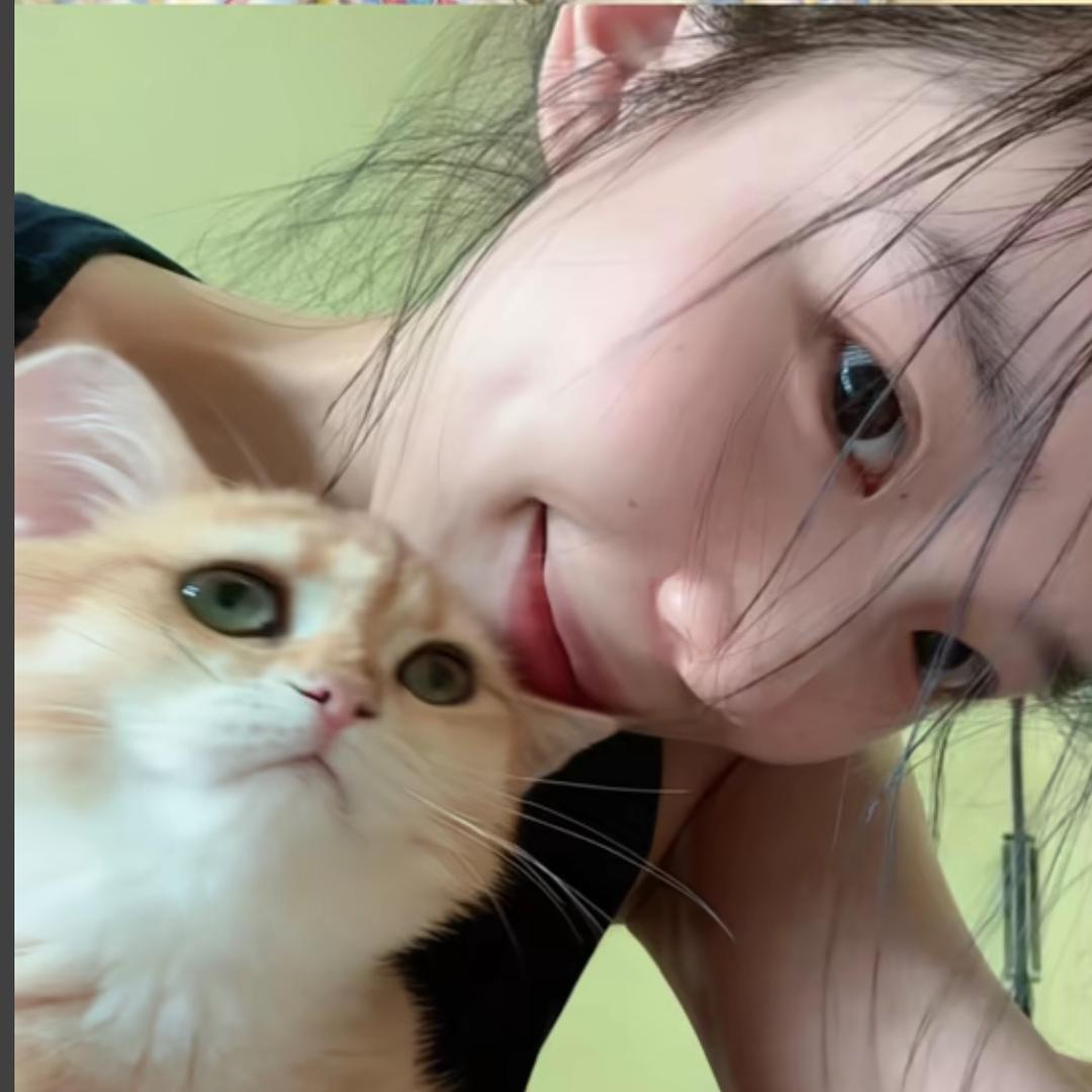 kitty.