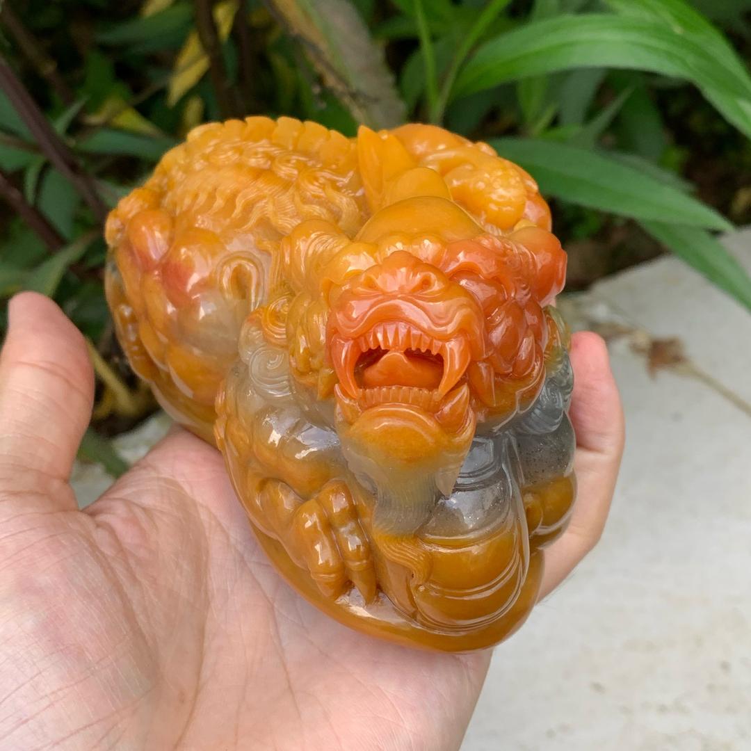 老姚黄龙玉