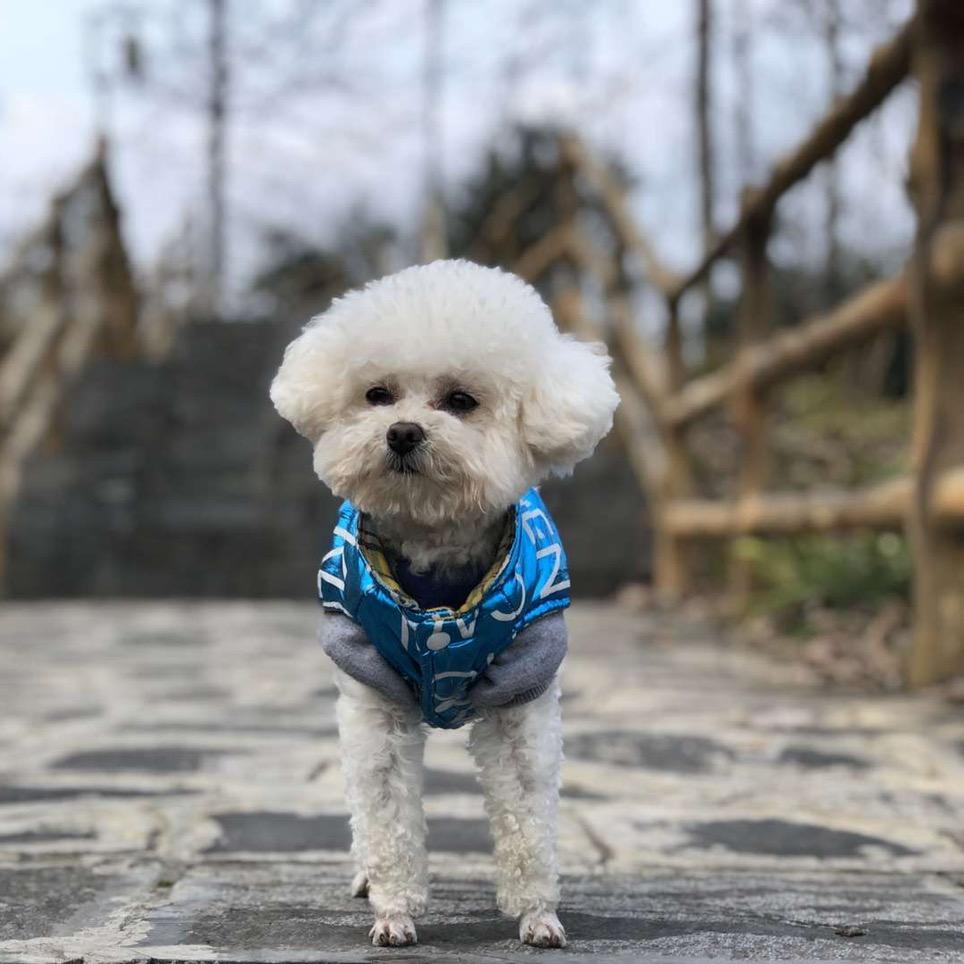 成熟的小蘑菇ovo头像