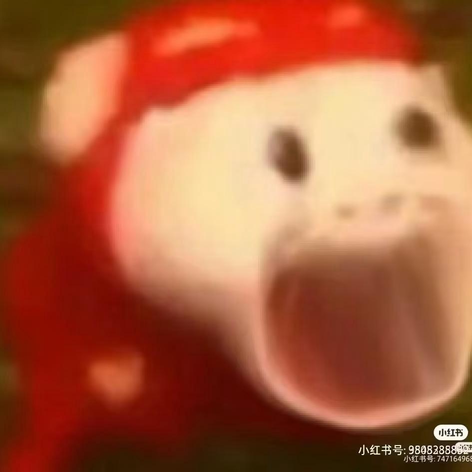 懒狗🍀