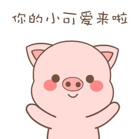 ✨四季💞予你&Lin