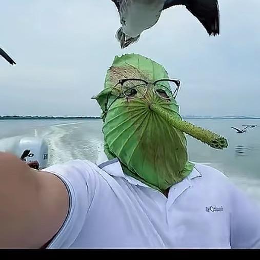 米家大少