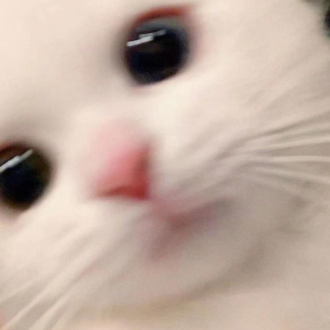 lastrain