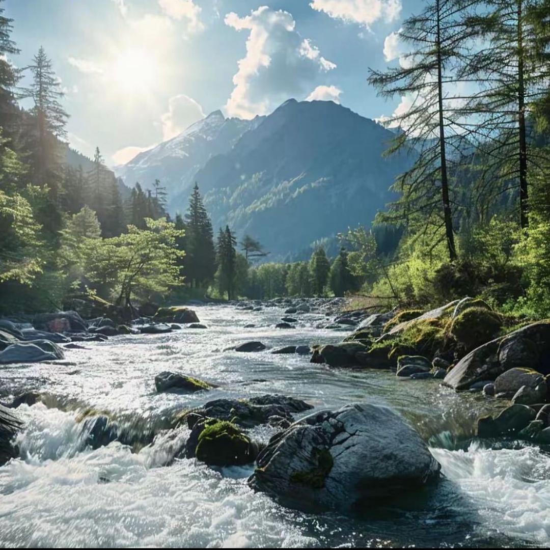 偶尔立志的无志青年