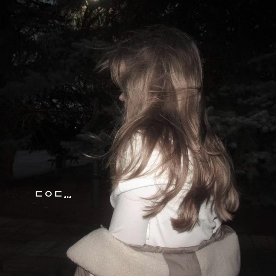 🍁🤎🍂🧸