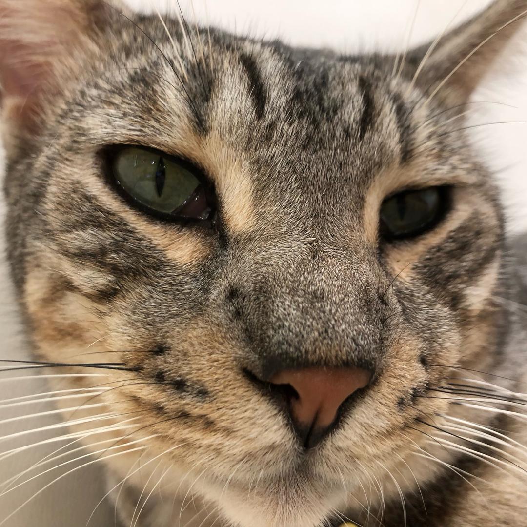 我是赵云v我50听我常胜生平