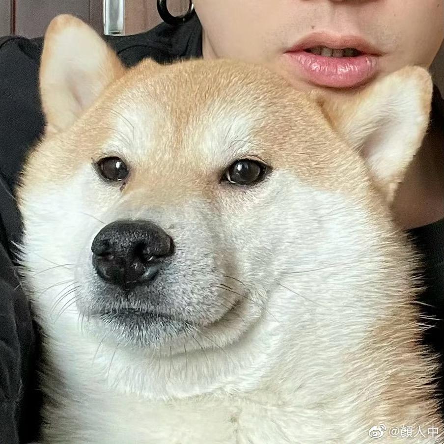 lq