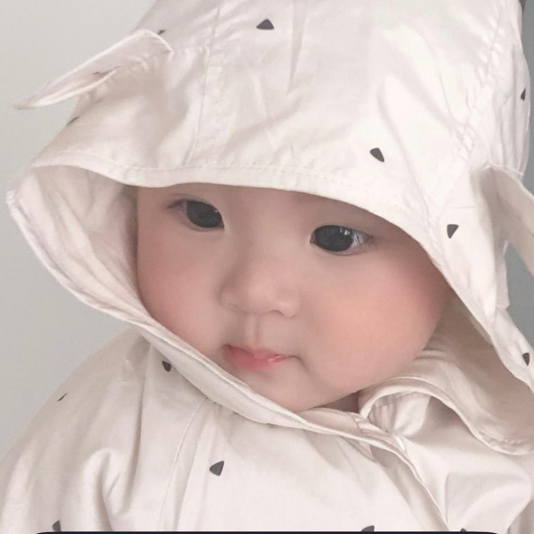 桉心