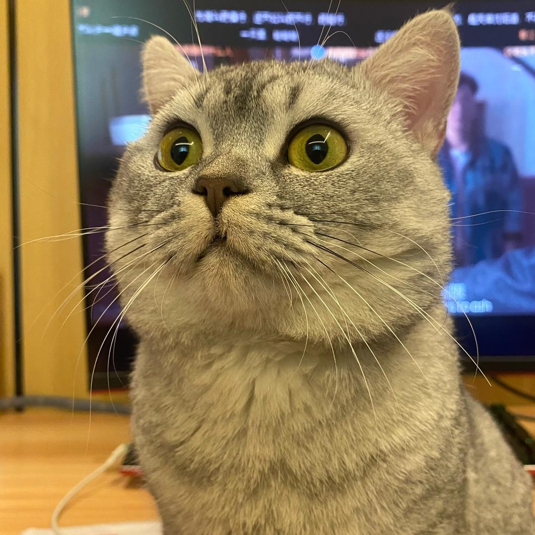 你好乖呐!