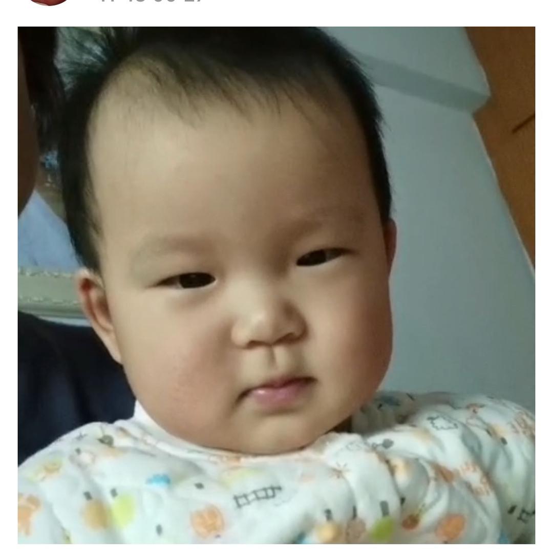 感恩世间万物，老贡