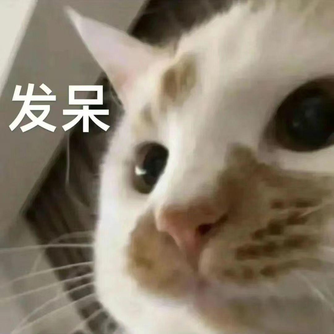 一只圆圆大王
