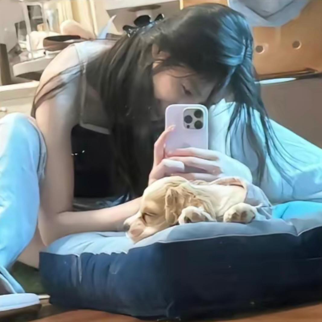 知不道