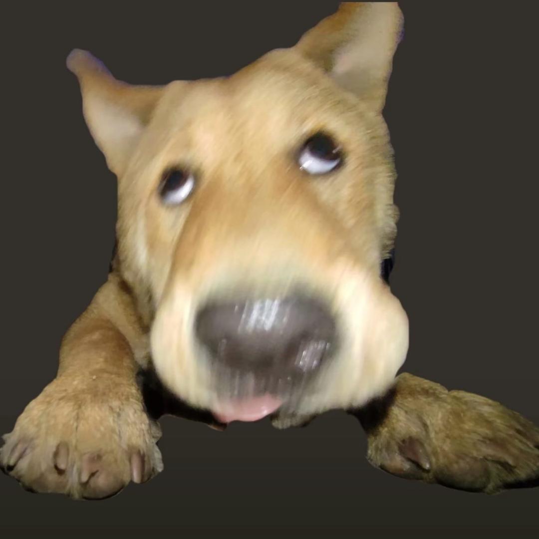 Hhhhhhh