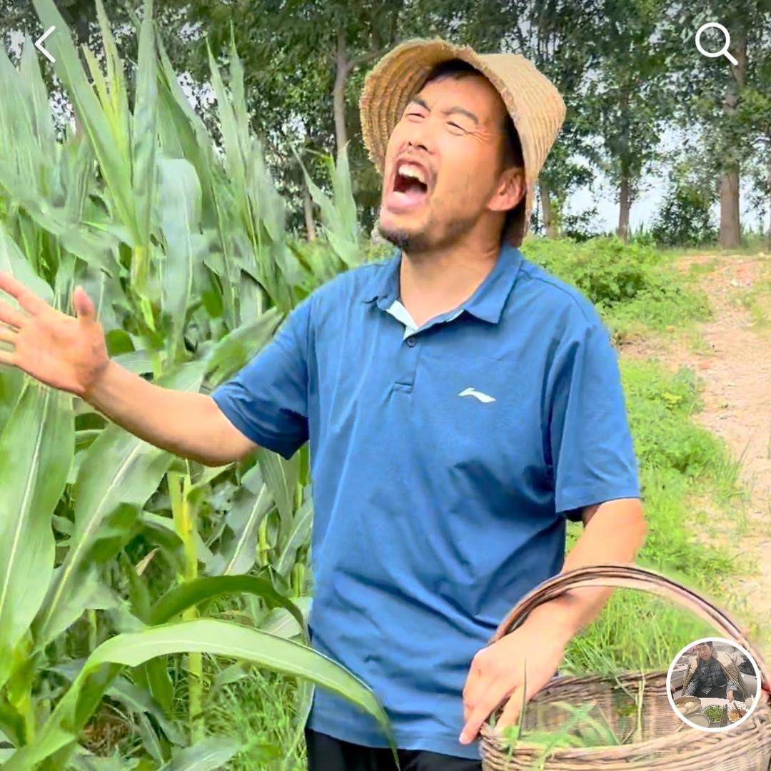 农村哥
