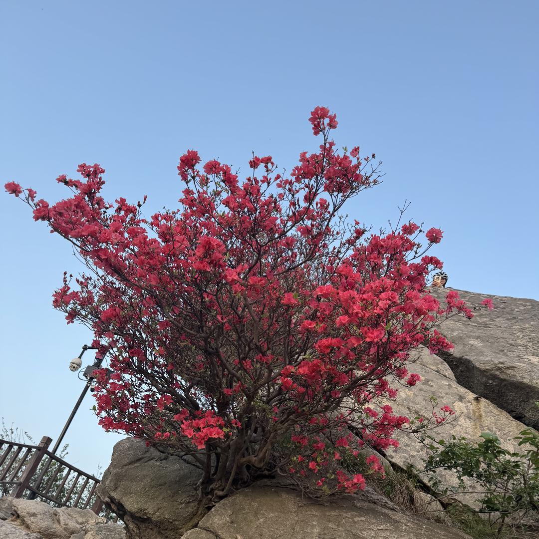 沈丘阿培日用品