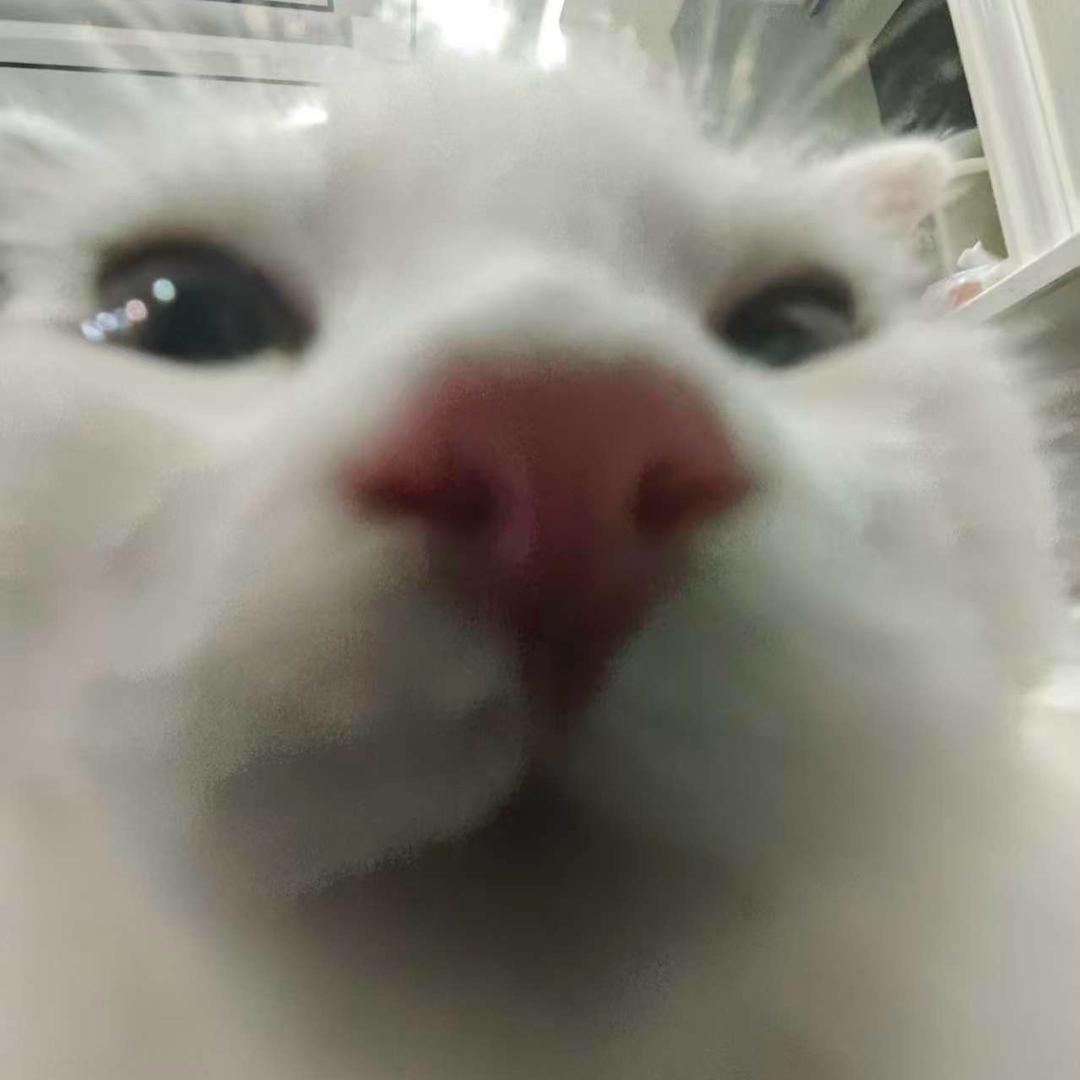 西