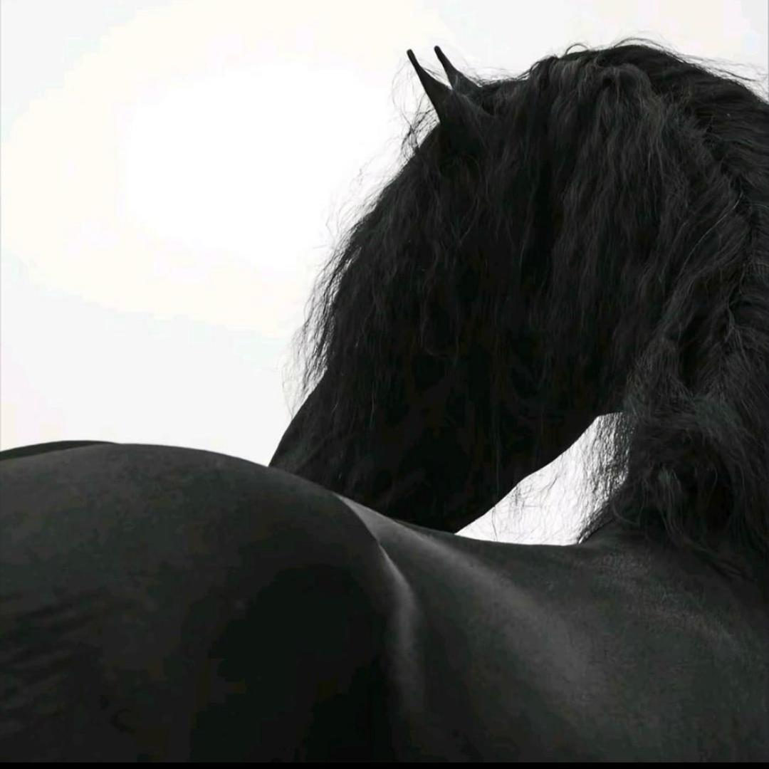 -w