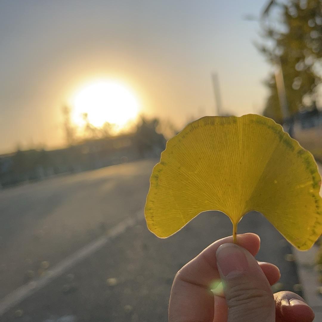 小宝然仔