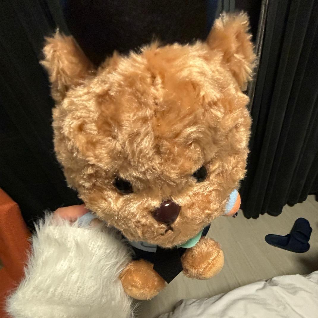 土豆炖马铃薯🥔