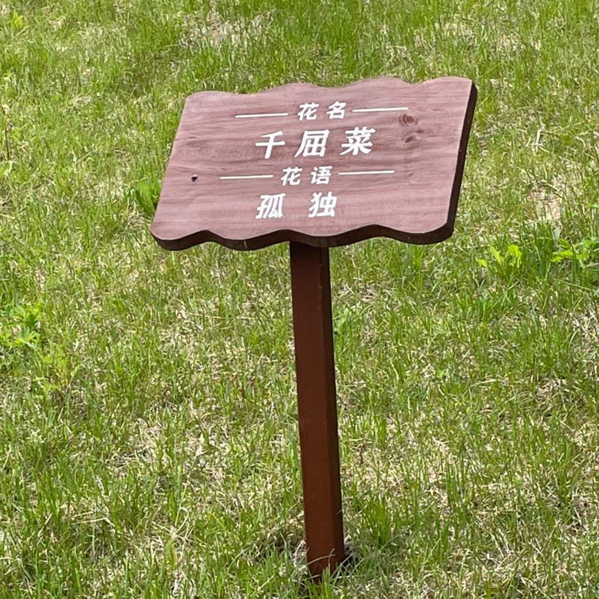 聂聂聂千默