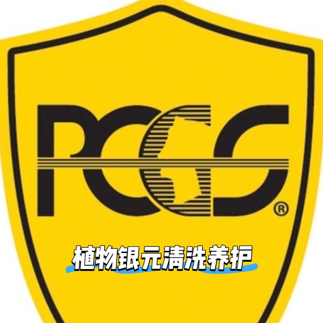 洋哥-植物银元清洗养护师