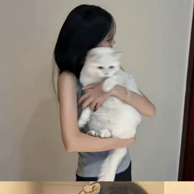 爱女人👩