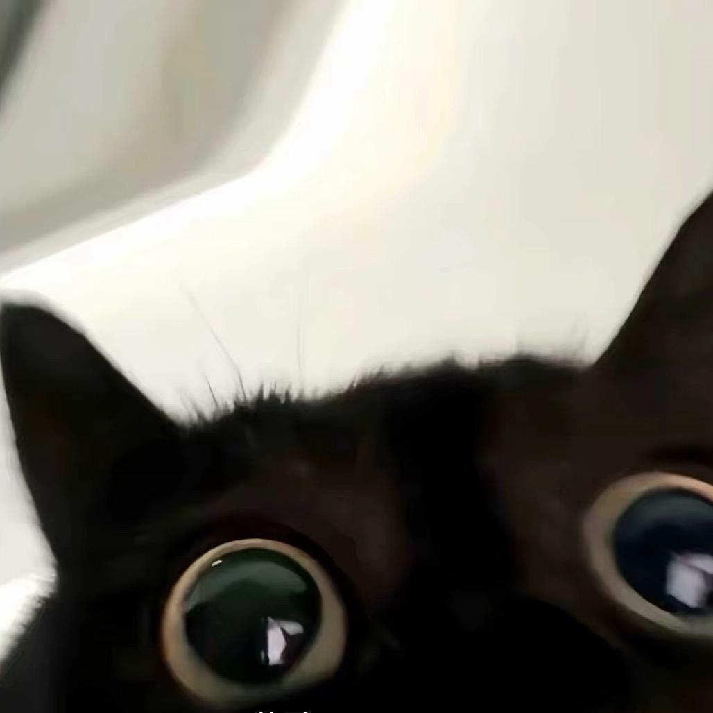 奇