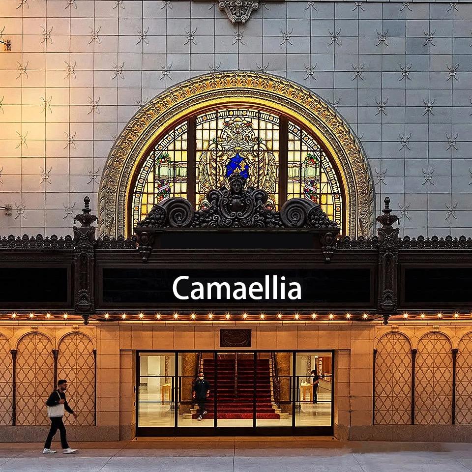 舒趣智购（电动磨脚器专场）