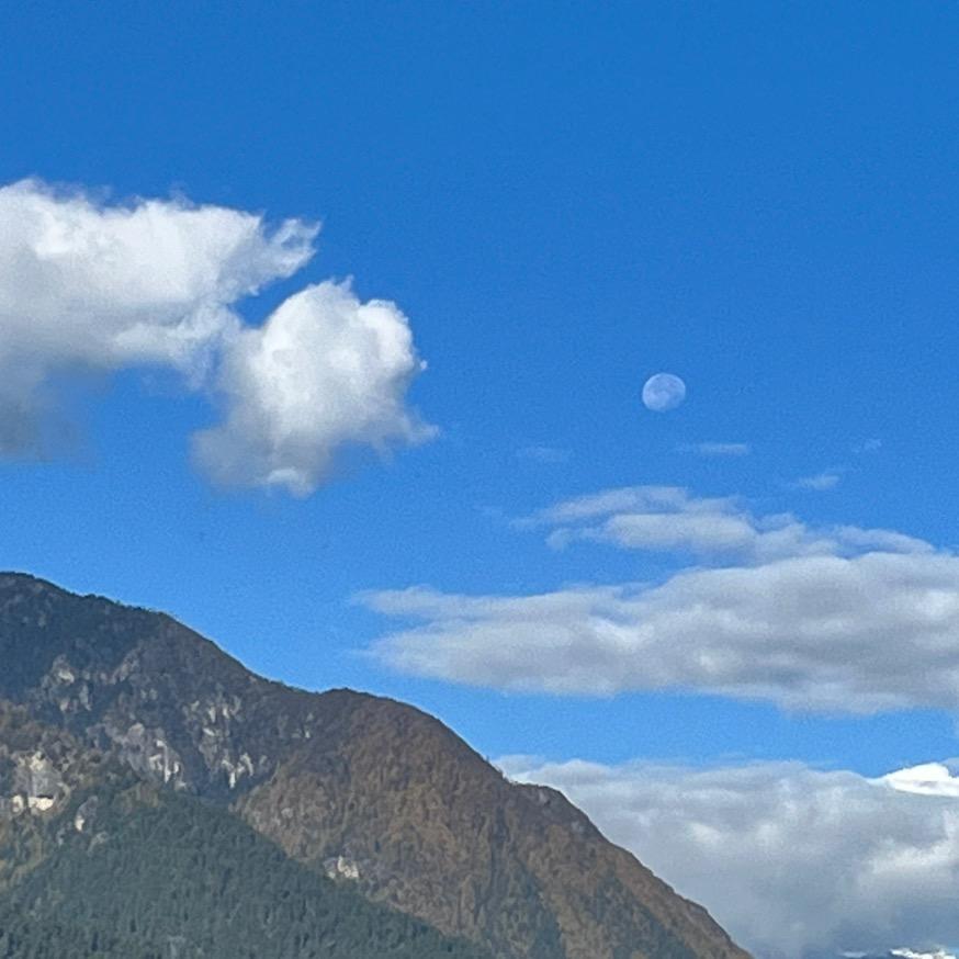 晚风吹拂着小林