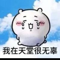 一卷小羊穿戴甲