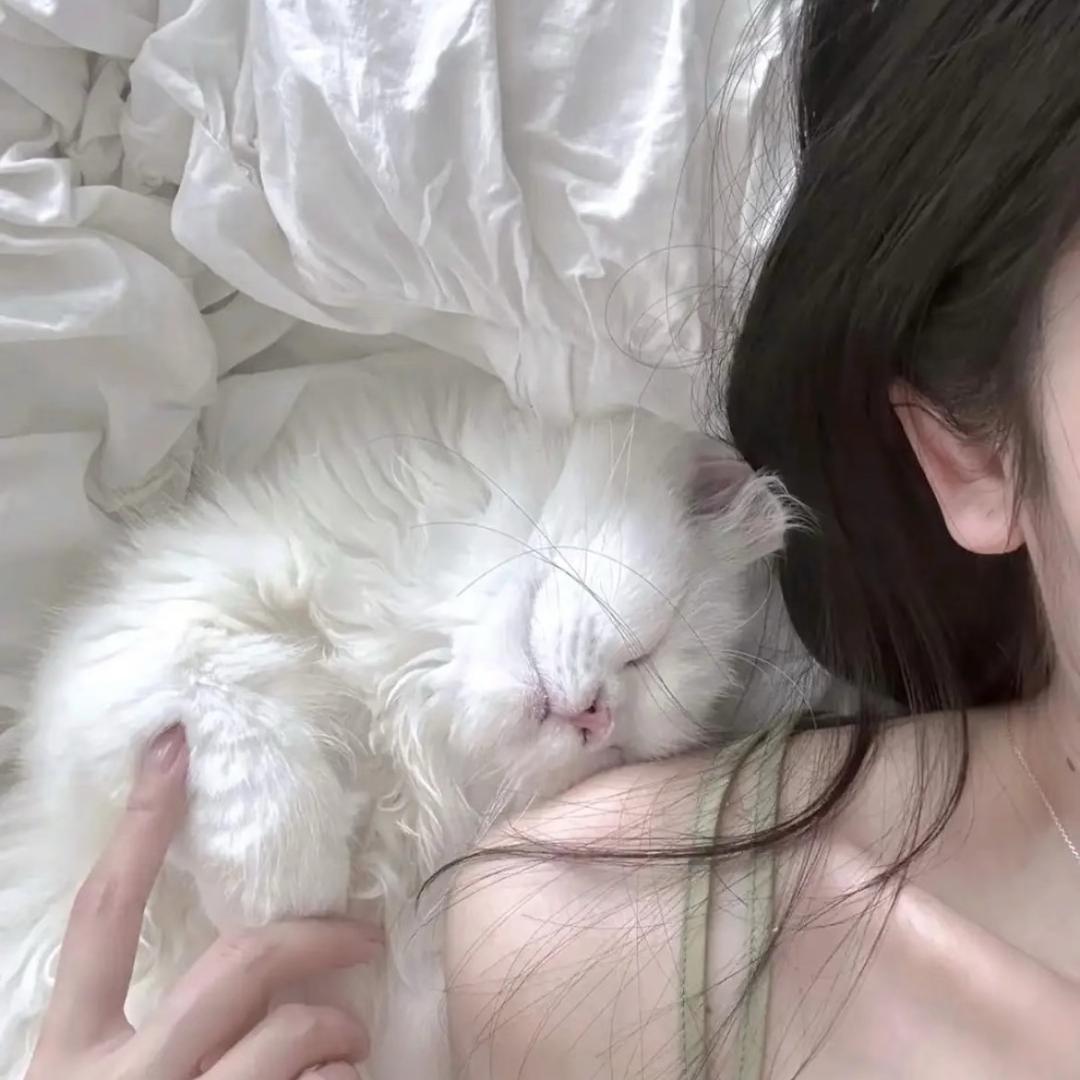 来财