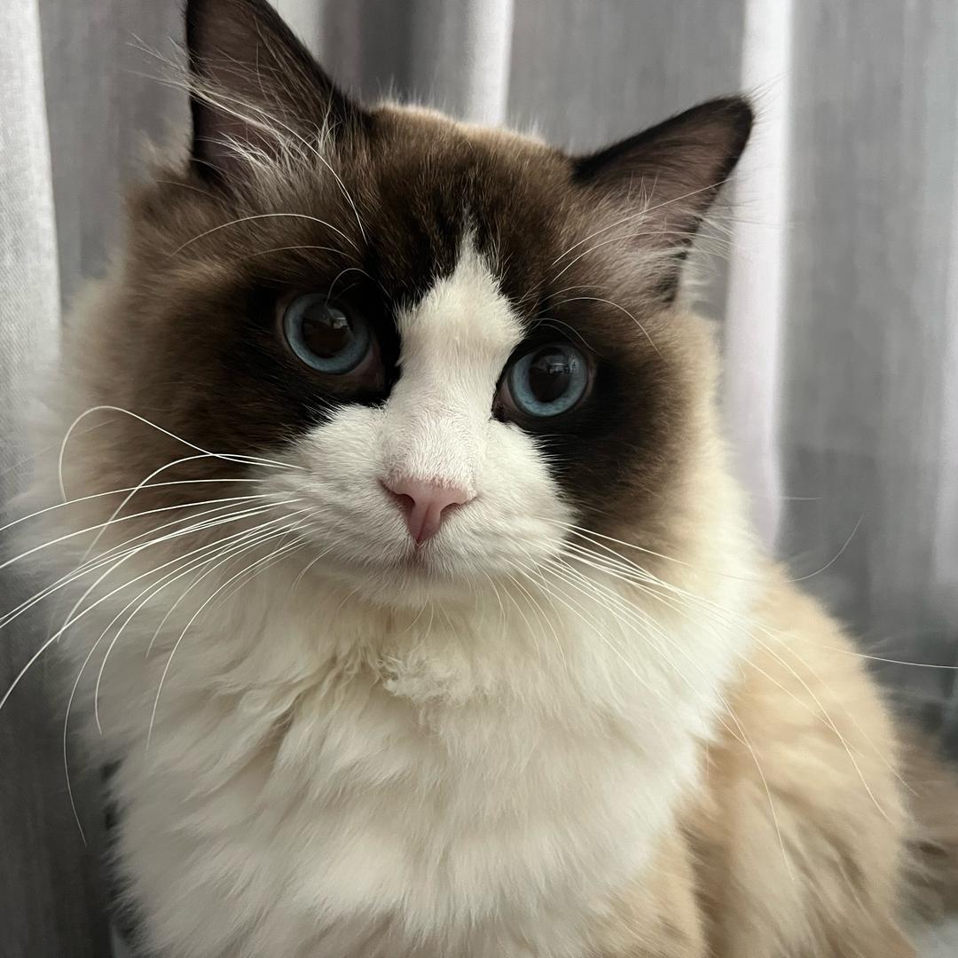 浪浪山的浪大爷