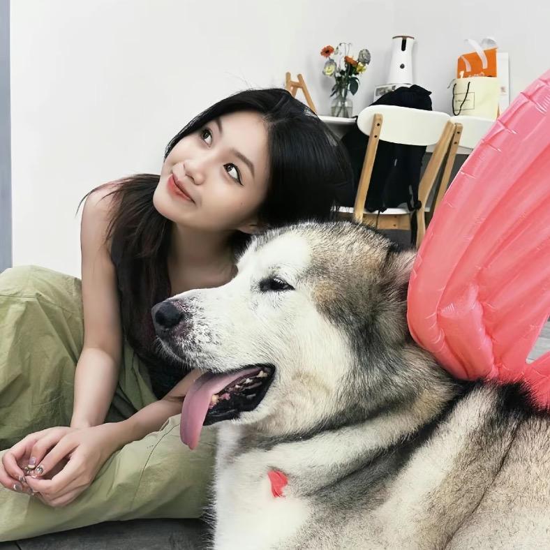 糟糕小耿