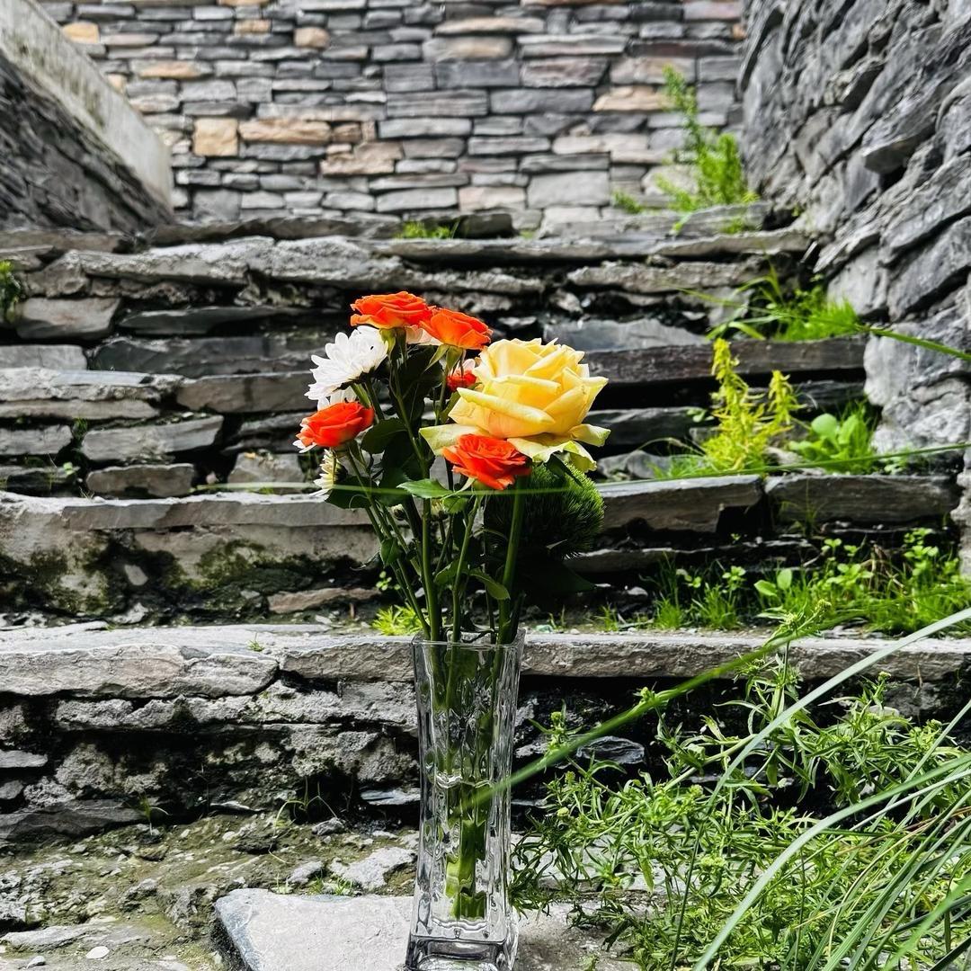 💗᭄ᝰᩚ随心ꦿ໌