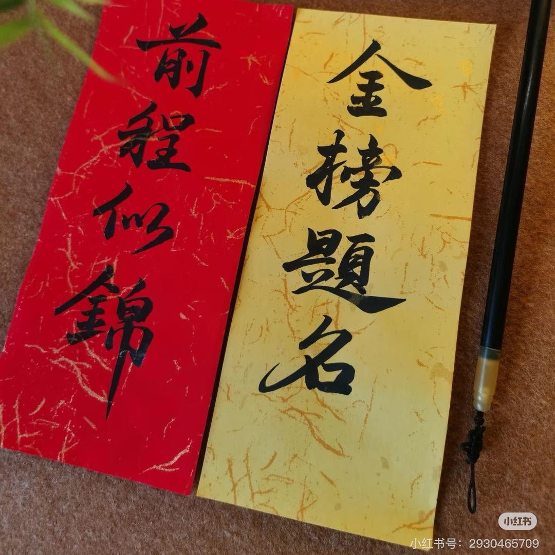 杨老师入团升学规划