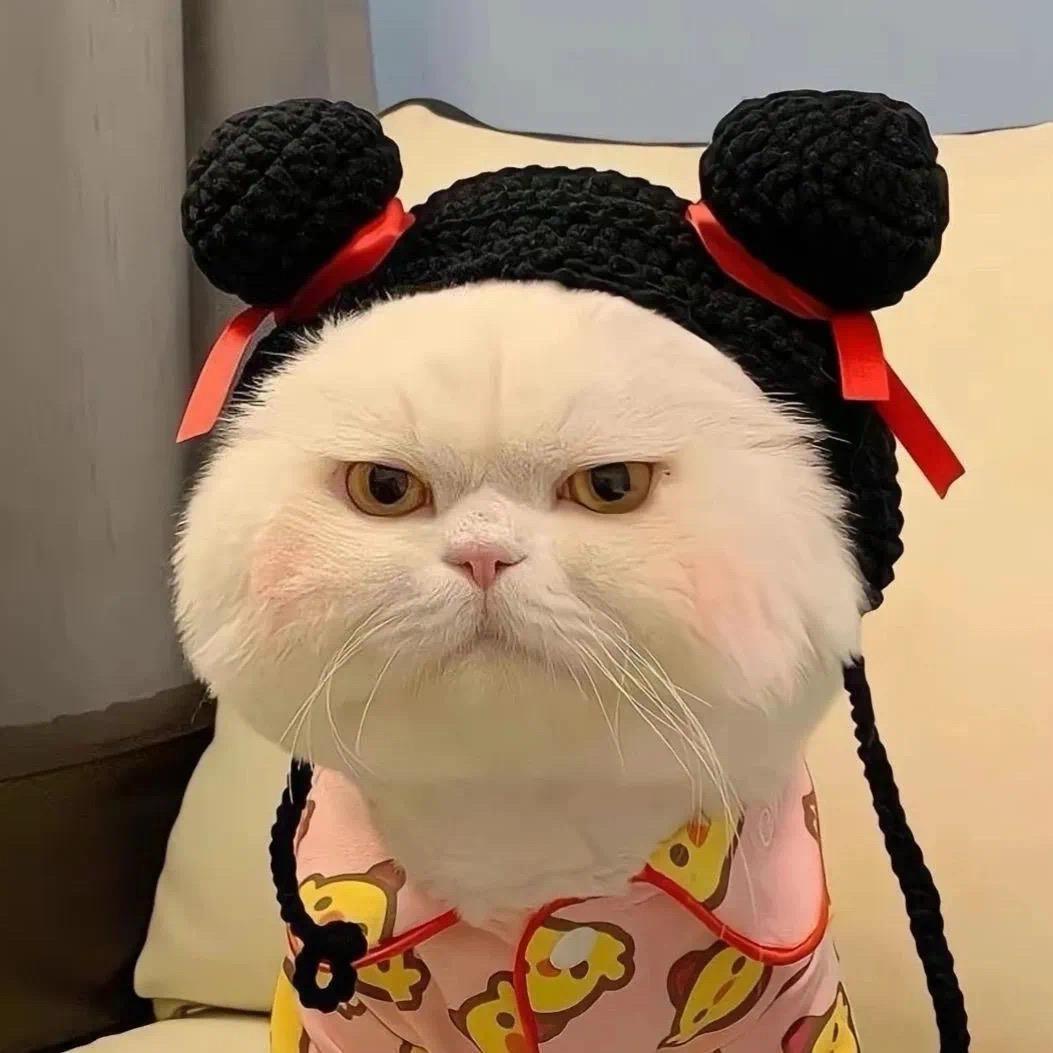 神刀刀♛