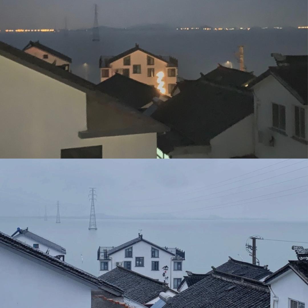 永不停歇的金枪鱼。