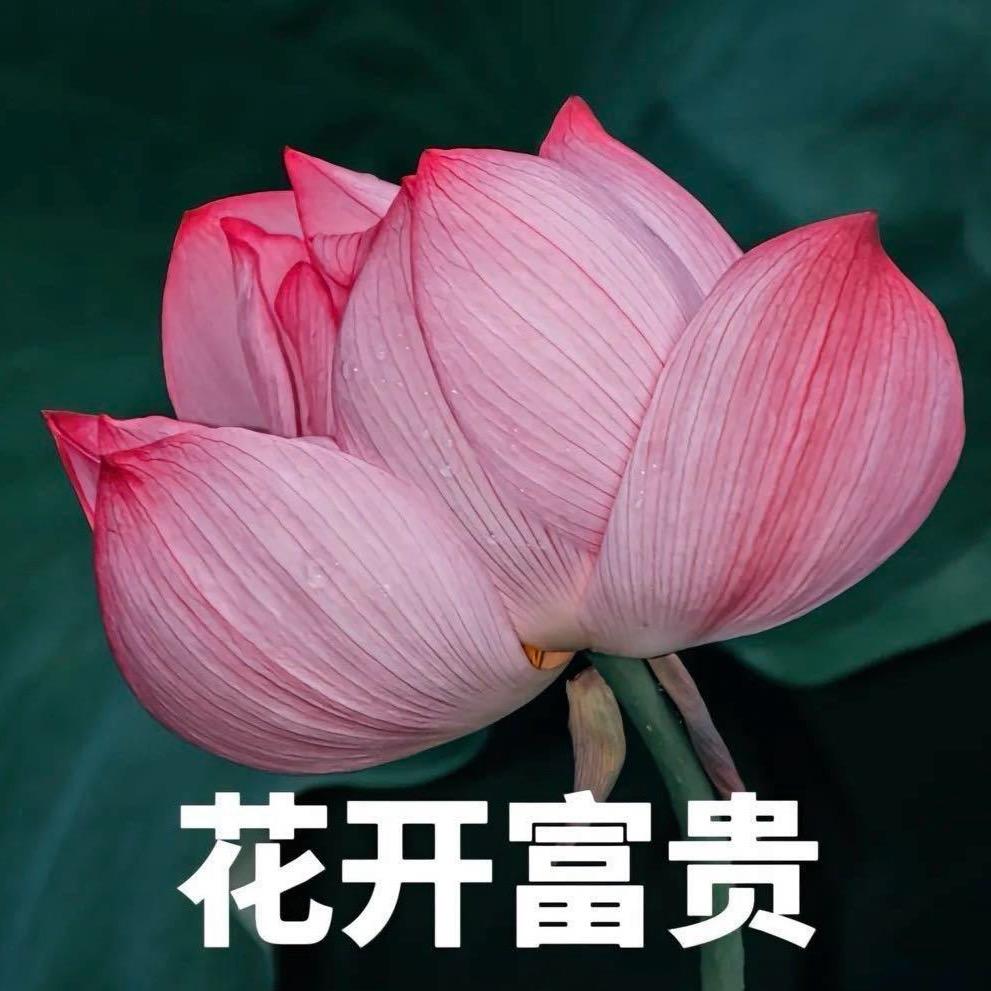 九斤