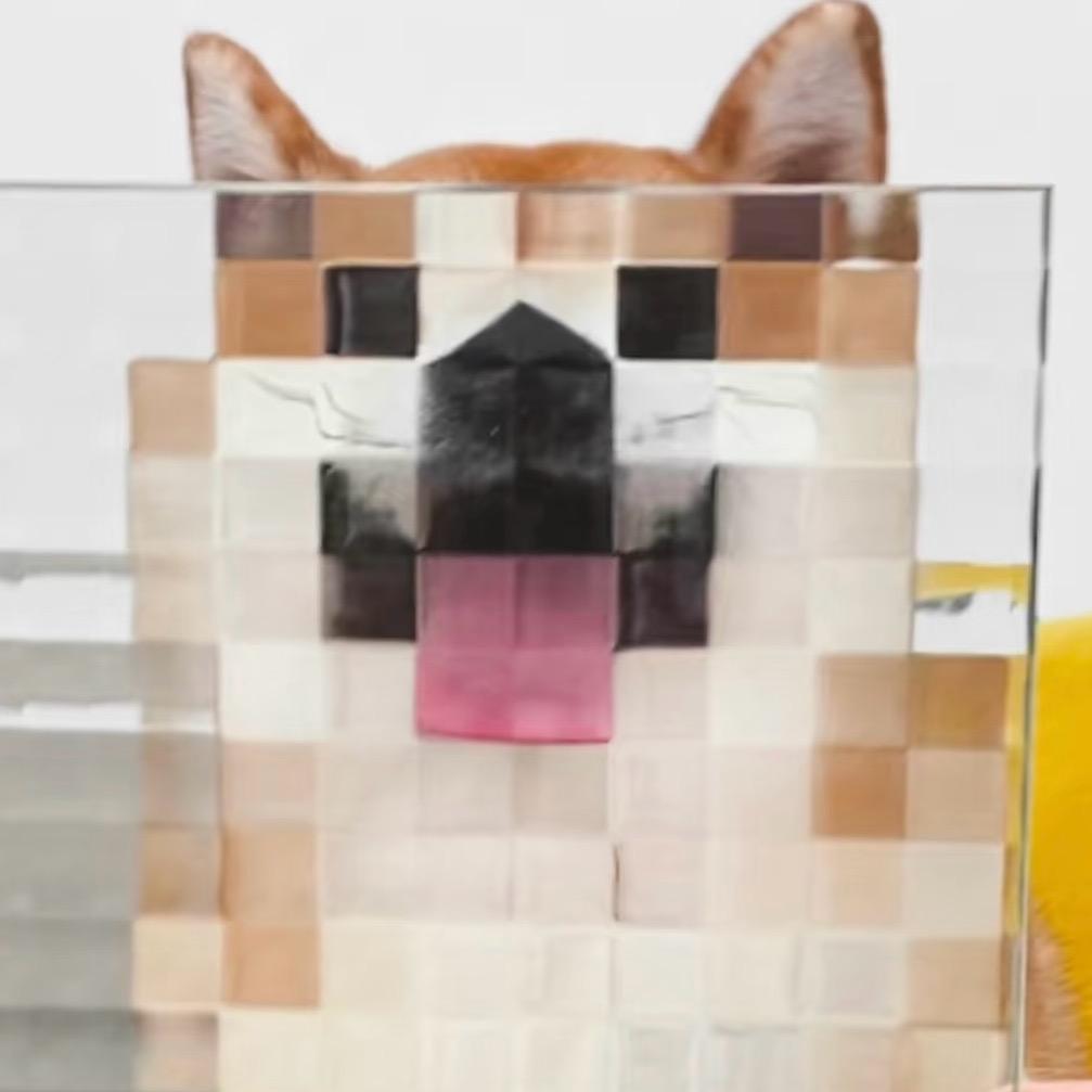 Hayes🐟（减脂版）