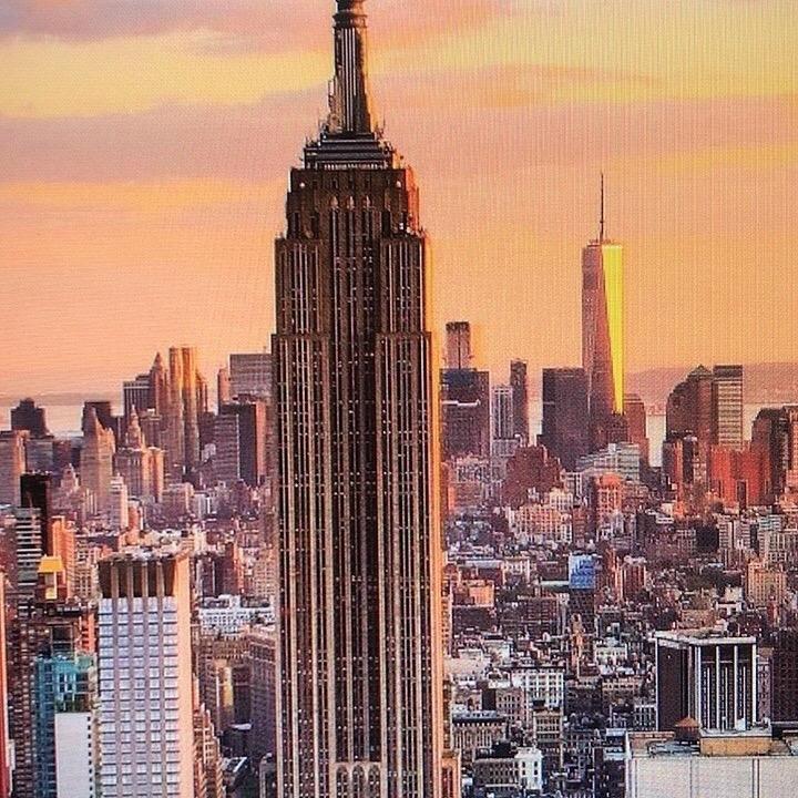 不再是你的身影